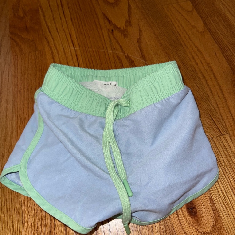 Light Blue and Green Women's Shorts